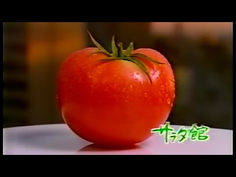 【懐かしいCM】シャディ サラダ館 カタログブティック（1989）JAPANESE COMMERCIALS