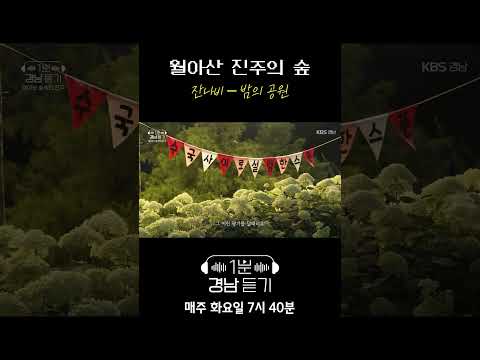 1분 경남듣기 세로버전 : 잔나비 - 밤의 공원
