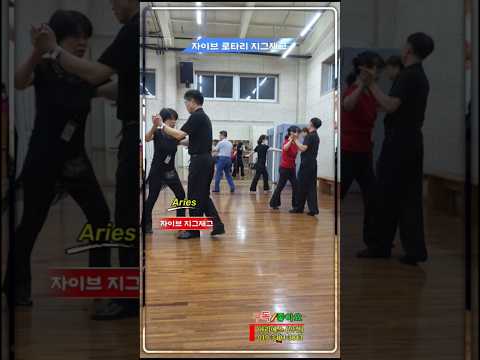 자이브 로타리 지그재그
