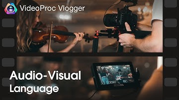 What Is Visual Language in Film & Definition and Examples