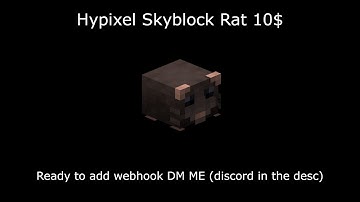 Hypixel Skyblock Rat (Ready and easy to setup) $10