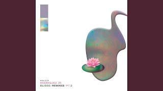 Monolith Garden (Steve Bug Remix)