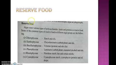 Algal Classification  by F. E. Fritsch, 1935