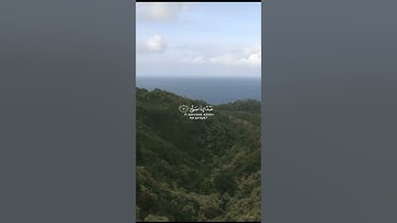 سورة العلق من آية (6) إلى آية (12) بصوت الشيخ محمد صديق المنشاوي