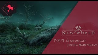 Que sait-on jusqu'à maintenant sur le MMO NEW WORLD ?