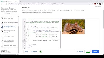 Challenge Cat Stache Khan Academy
