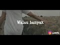 Slank - Cinta Kita (Story Wa)