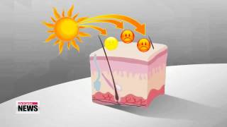 Being 'sun smart' is about more than remembering your sunscreen