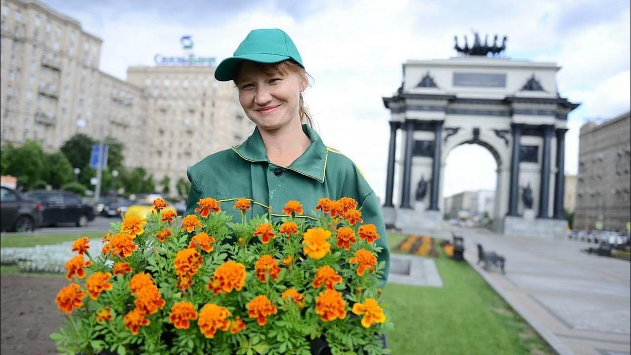 Красть цветы. Цветники в городе. Городские клумбы. На улицах Москвы цветники. Цветы в городе.