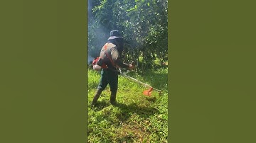 Khách Hàng Trải Nghiệm Máy Cắt Cỏ Reload 543 VIP Hài Lòng Tuyệt Đối