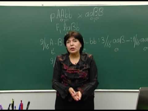 არაალელური გენების ურთიერთქმედება. კომპლემენტარობა