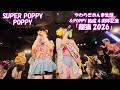 【26 3 28_5】POPPY「やわらぎめんま生誕&POPPY結成4周年記念『雌猫2026』」【#POPPYGPR】