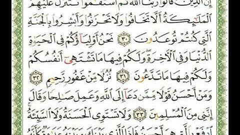 سورة فصلت ناصر القطامي