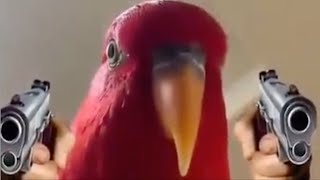 BEST MEME -  UNUSUAL MEMES COMPILATION #79