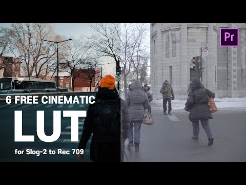 무료 LUT 배포 - FREE 6 CINEMATIC LUTs