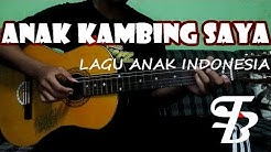 Anak Kambing Saya Fingerstyle - Cover by Falaon Bintang  - Durasi: 1:26. 