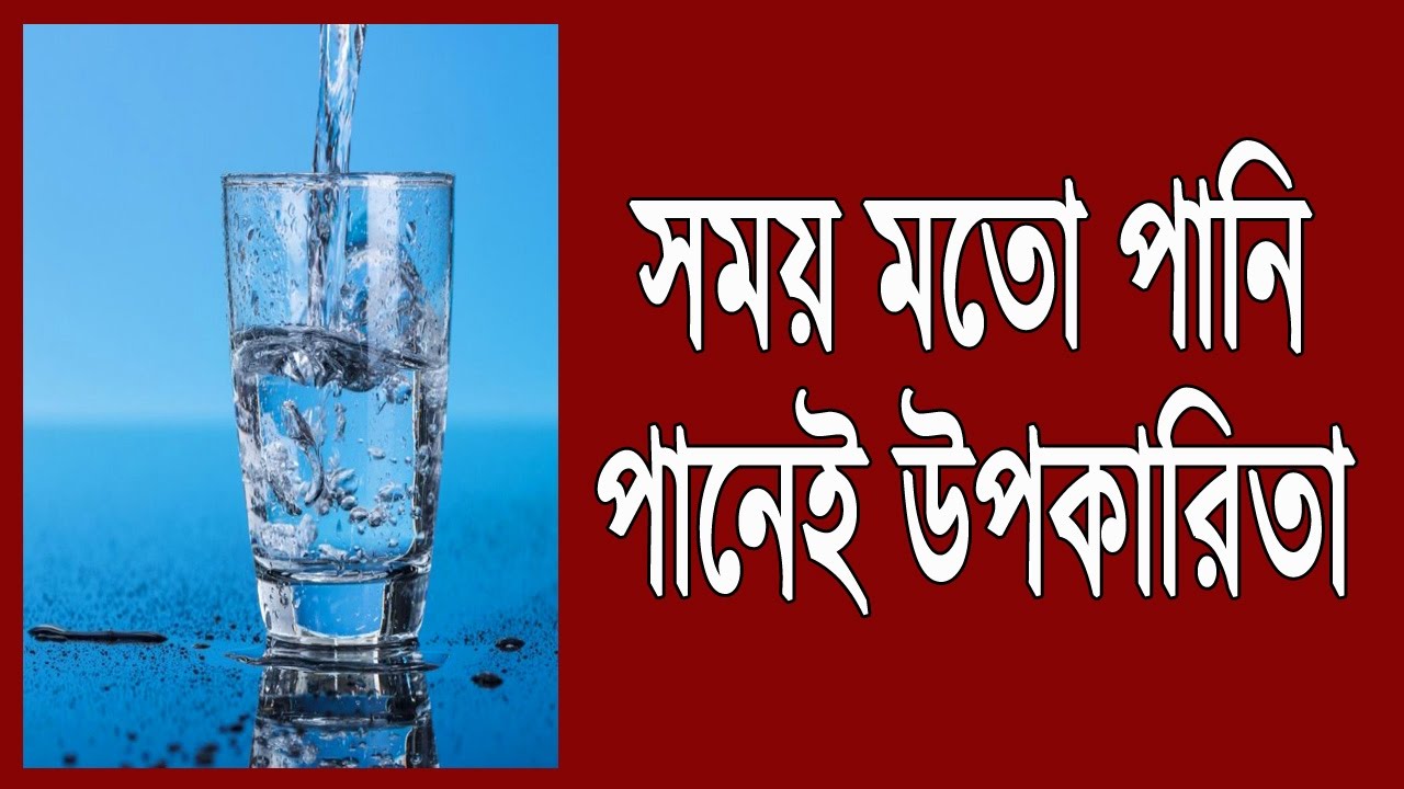 সময় মতো পানি পানেই উপকারিতা | Benefits of drinking water at the time | Bangla health tips bangla health tips kidney