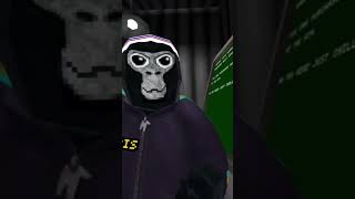 World hunger videos be like #gorillatag #vr