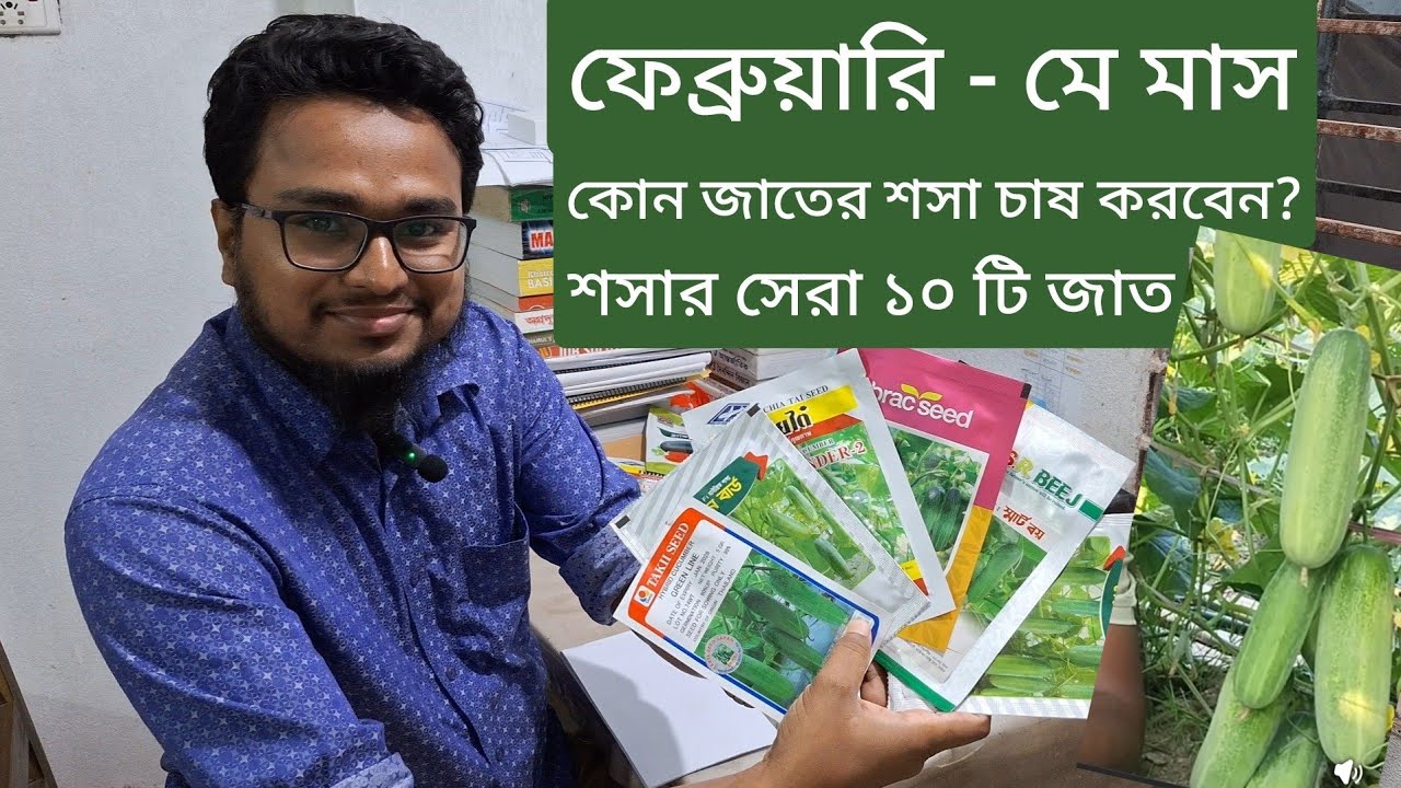 সিজনাল শসার সেরা ১০ টি জাত। বীজ পেতে: 01706369298