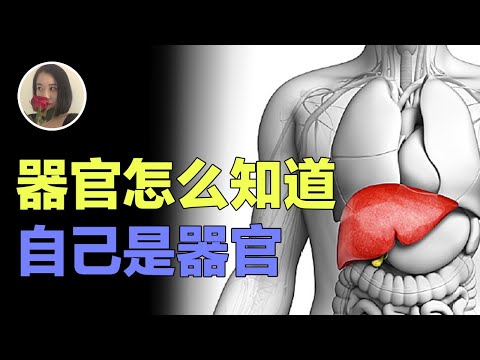 【表观遗传学01】器官是怎么知道自己是哪个器官的?为什么肝细胞不去干生殖