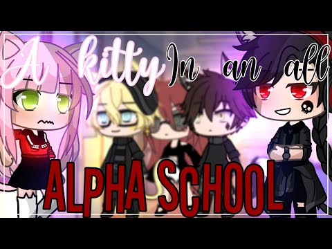 A kitty in an all alpha school || GLMM || GachaLife MiniMovie ||