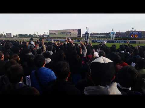 ジャパンカップゴール前