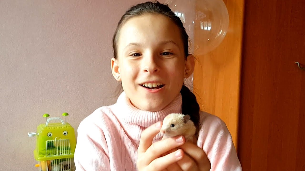 У нас новый питомец! Мы нашли хомяка на улице! - YouTube