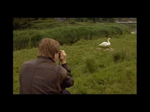 Beachy Head, England: Country Charm - Beachy Head, England: Country Charm