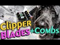 How to use DOG GROOMING CLIPPER BLADES and COMB ATTACHMENTS on a LARGE DOODLE
