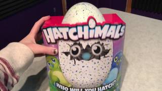 Mollie Found Hatchimals in Northern Colorado