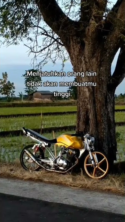 STORY WA HEREX 30 DETIK TIGER ABIMANYU