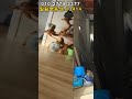 재업로드!!횡성읍인접.작업장있어요:2억 #횡성부동산 #횡성군부동산 #횡성전원주택 #횡성급매물#강원도부동산 #강원도전원주택 #둔내부동산#shorts