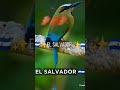 salvador mi pais es hermoso!!