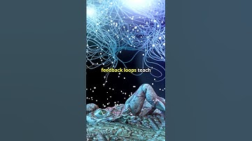 Unlocking Self-Mastery: The Power of Feedback Loops