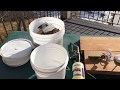 Bertello Pizza Oven fuel comparison part 2 (pellets)