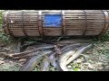 Amazing bamboo trap  cambodia fish trapping  village traditional fishing  123netfishing channel
