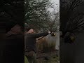Spodding at 32 Wraps With No Step! #carpfishing #carp #longrange #casting #bait #distance