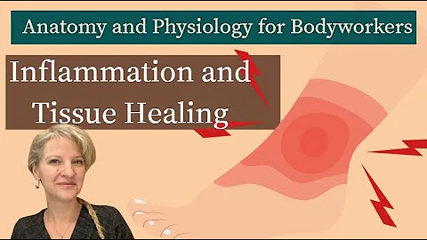 A & P Supplemental: Inflammation and Healing | MBLEx Prep