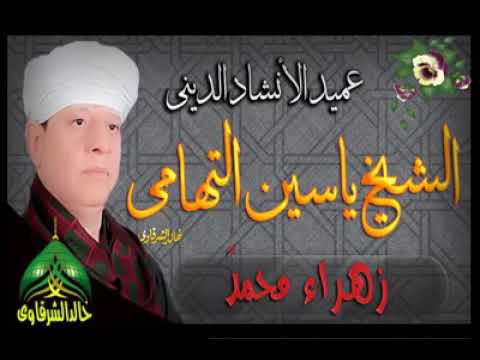 الشيخ ياسين التهامي حفلات الصعيد زهراء محمد 