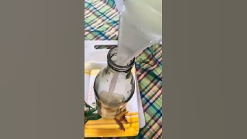 how to store lemon juice for summer