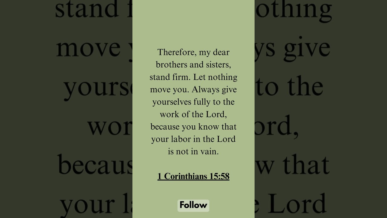 1 Corinthians 15 58 Bible Bibleverse Biblestudy Christian Faith Inspiration Motivation