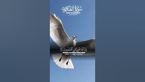 #سورة #العنكبوت #اكسبلور @