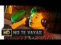 No Te Vayas, Jean Carlos Centeno | Video Oficial HD