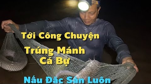 Những Con Cá Bự Nhất Của Năm Mới Vê Nấu Đặc Sản Là Bao Nhiêu Mệt Mỏi Tan Biến Hết | Cldv #952