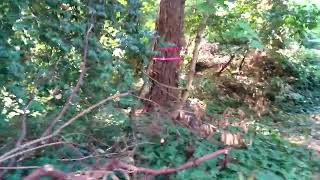 Hillgrove Cemetery (Flight Corridor Safety Program) 2017/09/22