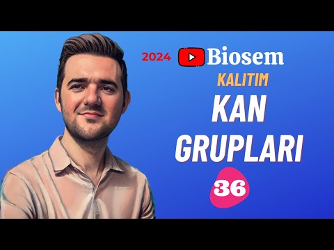 Kan Grupları Çok Alellilik Soru Çözümü | 2024