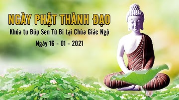 NGÀY PHẬT THÀNH ĐẠO TRONG KHÓA TU BÚP SEN TỪ BI ngày 16/01/2021