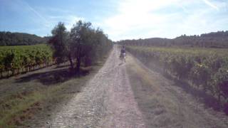 DSCN5337.AVI