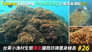 Freediving | 台東本島秘境潛點~生態好到讓我以為在綠島 ... 