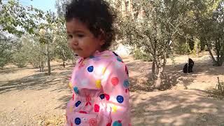 960805-Rasta-gorbeh